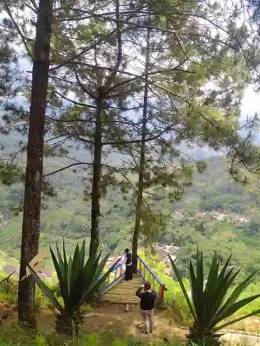 Deretan tenda dome berwarna dominan hijau yang ditata rapat dengan pasak dan guyline mengikat erat pada pemandangan kemping area Batu