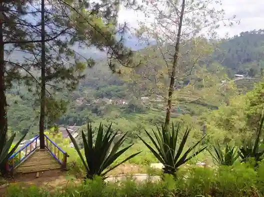 Aktivitas seru kemping