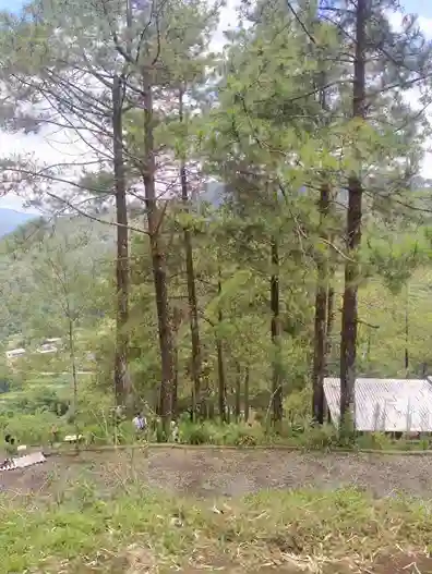 Seorang pria mencatat menggunakan peranti telepon genggam di depan tenda kemping