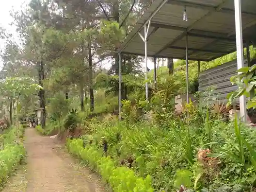 Perlengkapan tahan cuaca di kawasan kemping