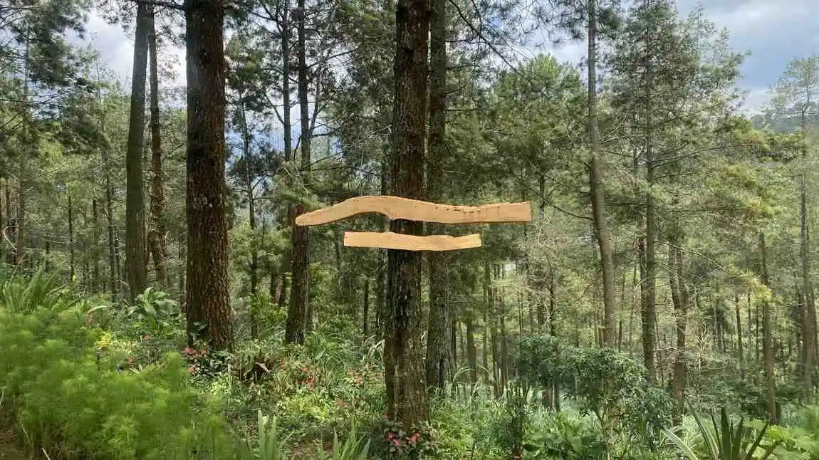 Fasilitas tenda dan sekeliling yang diatur rapi membantu menenangkan gejolak visual