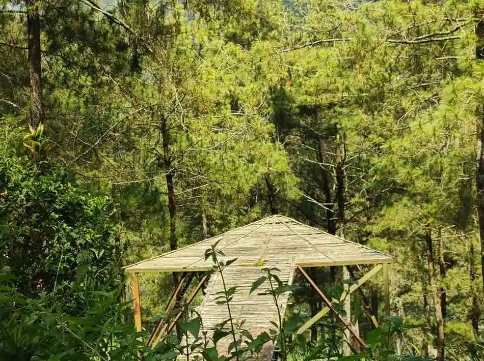 Aktivitas seru kemping keluarga edukatif di alam terbuka