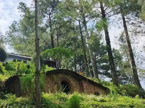 Sewa Sleeping Bag Bersih