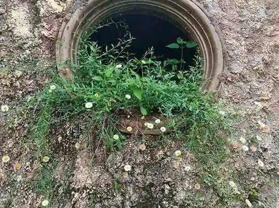 Seseorang sedang diam bermeditasi memandang hamparan lembah dari kawasan kamp Batu